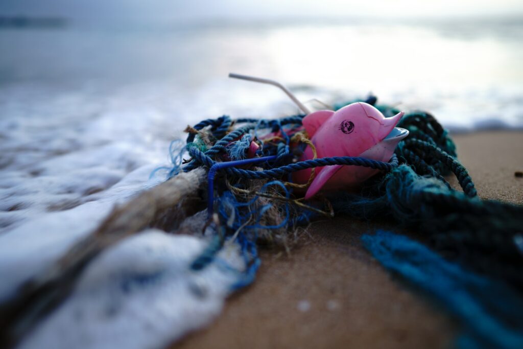 Beach plastic pollution