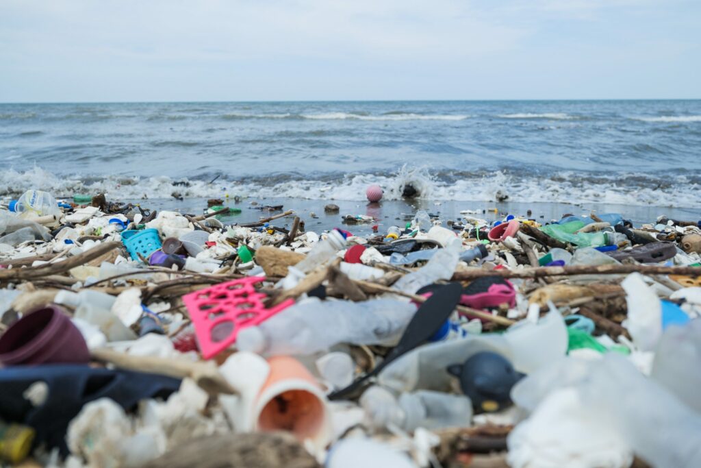 Beach plastic pollution