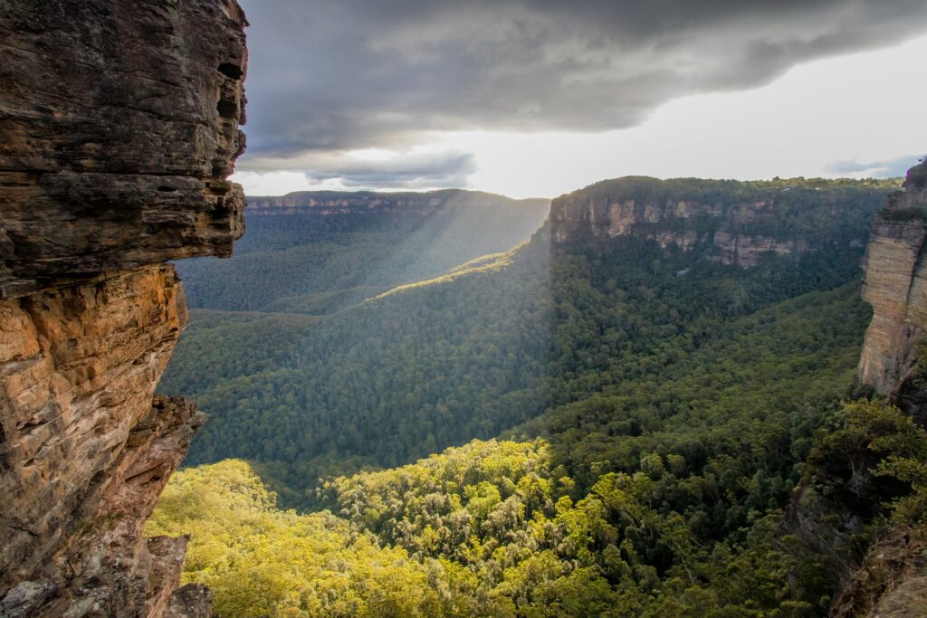 Blue Mountains