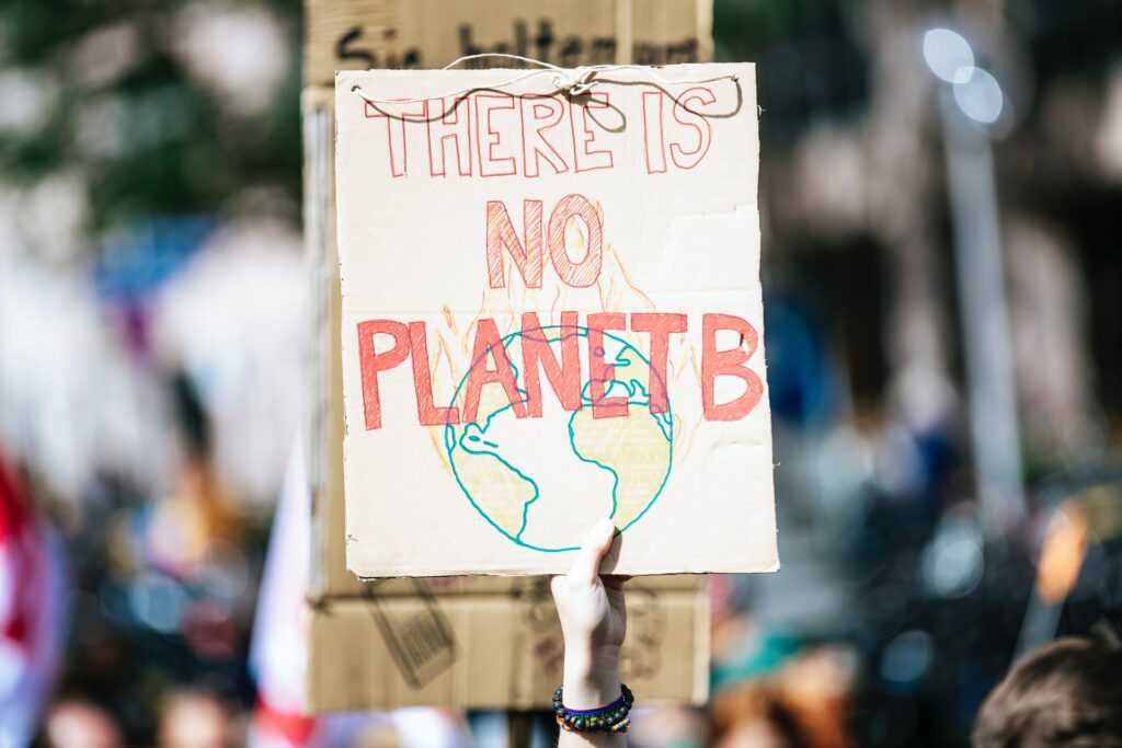 Protest sign reading 'There is no Planet B'