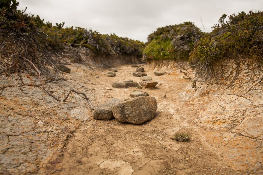 Dry creek bed