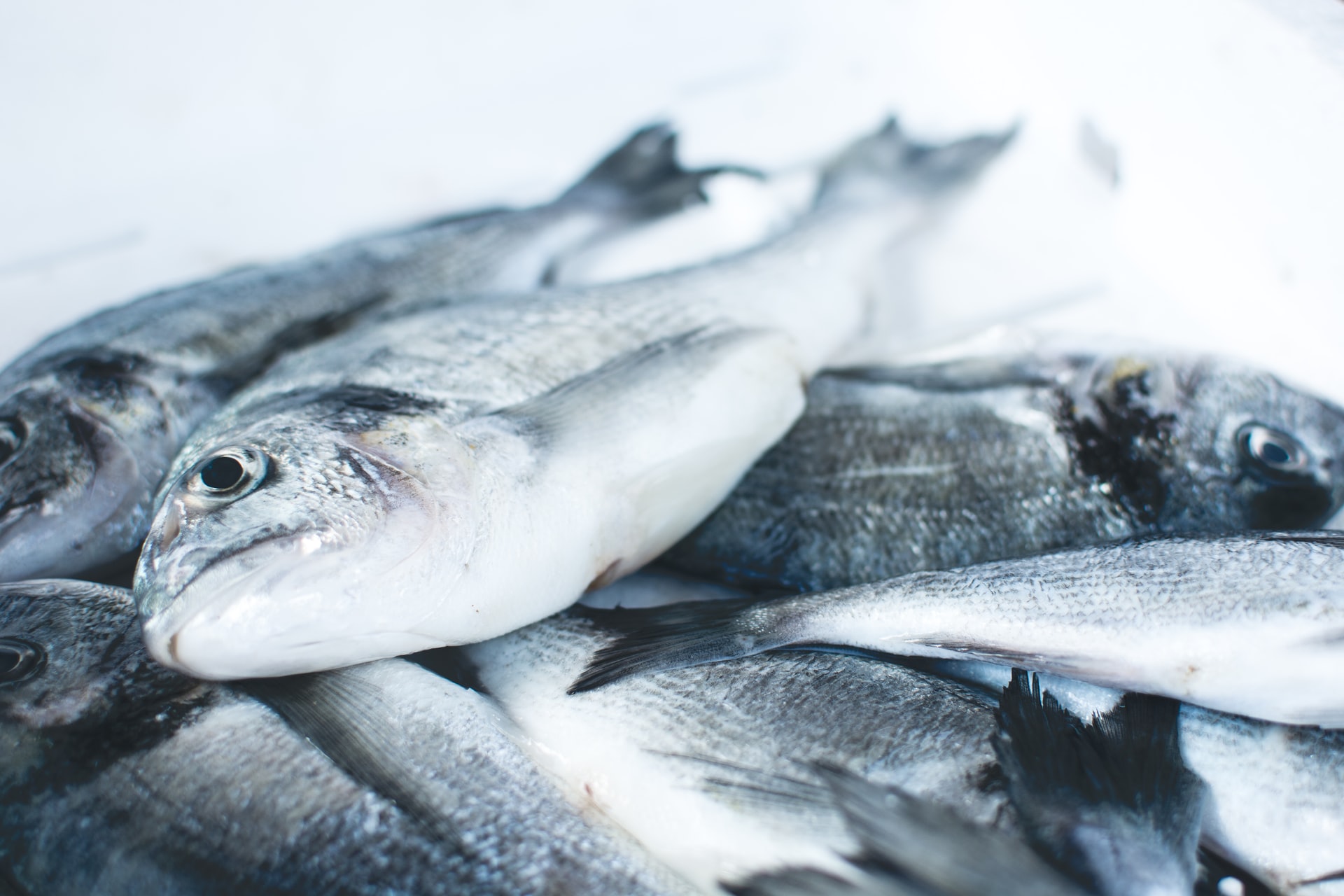 How to eat fish sustainably