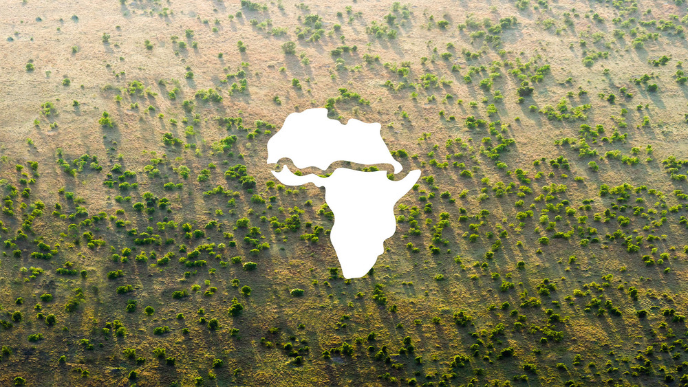 Inside the Great Green Wall project