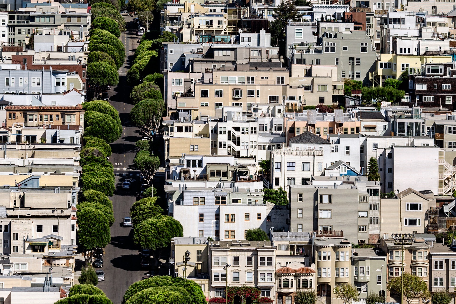 Research: How city trees help shape biodiversity