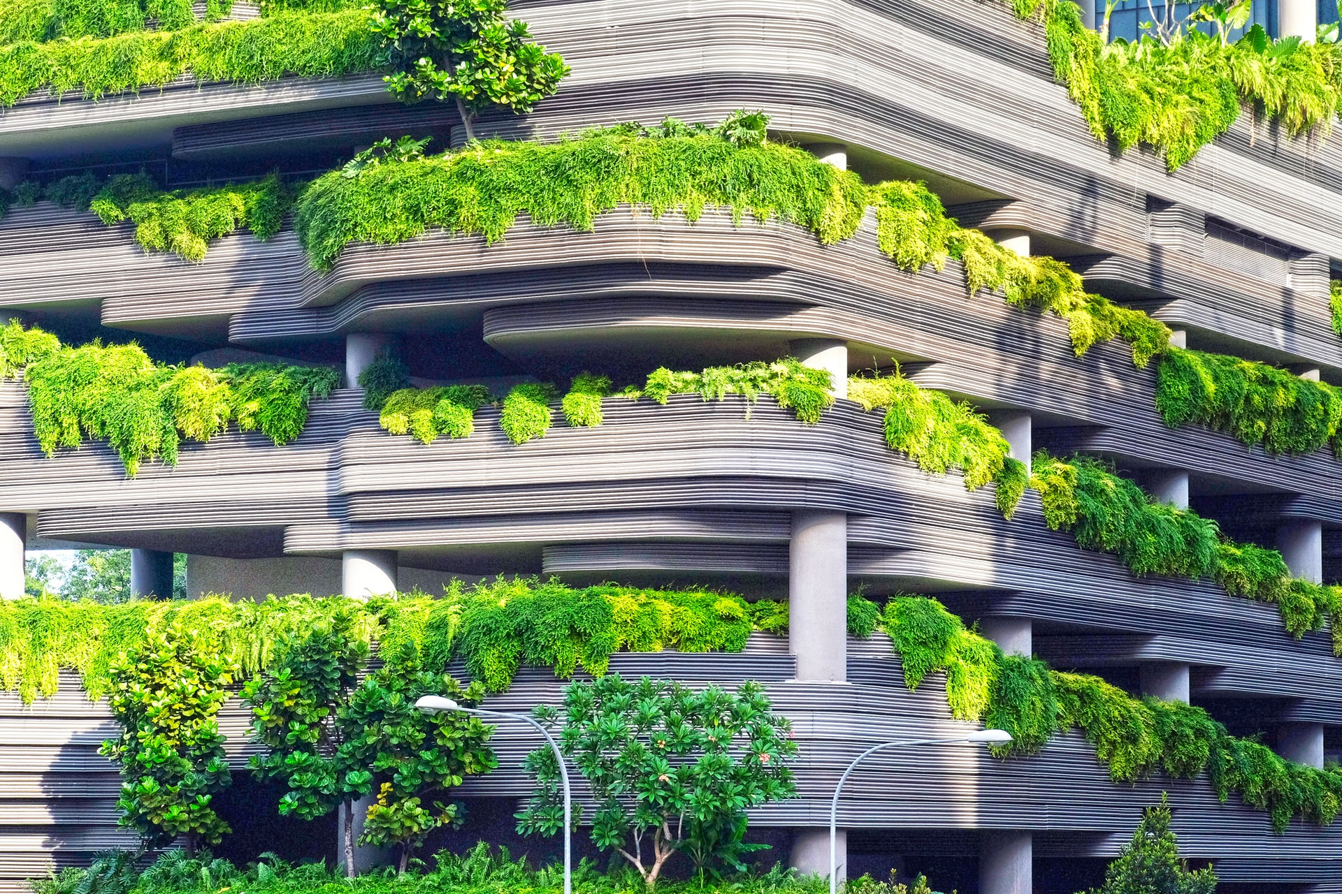 Lessons from the greenest cities in the world