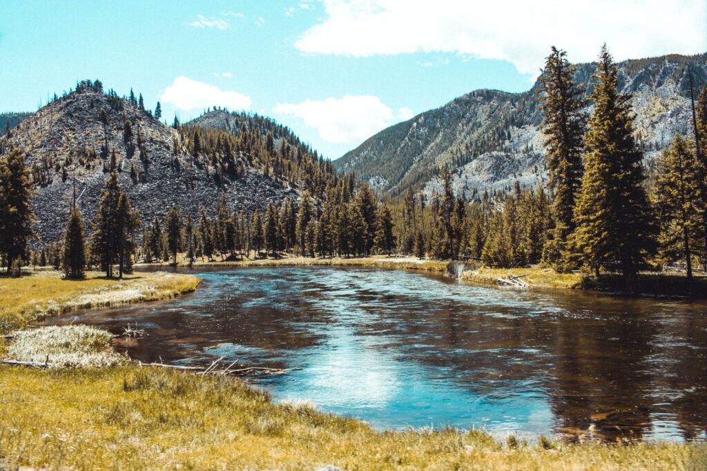 Yellowstone NP